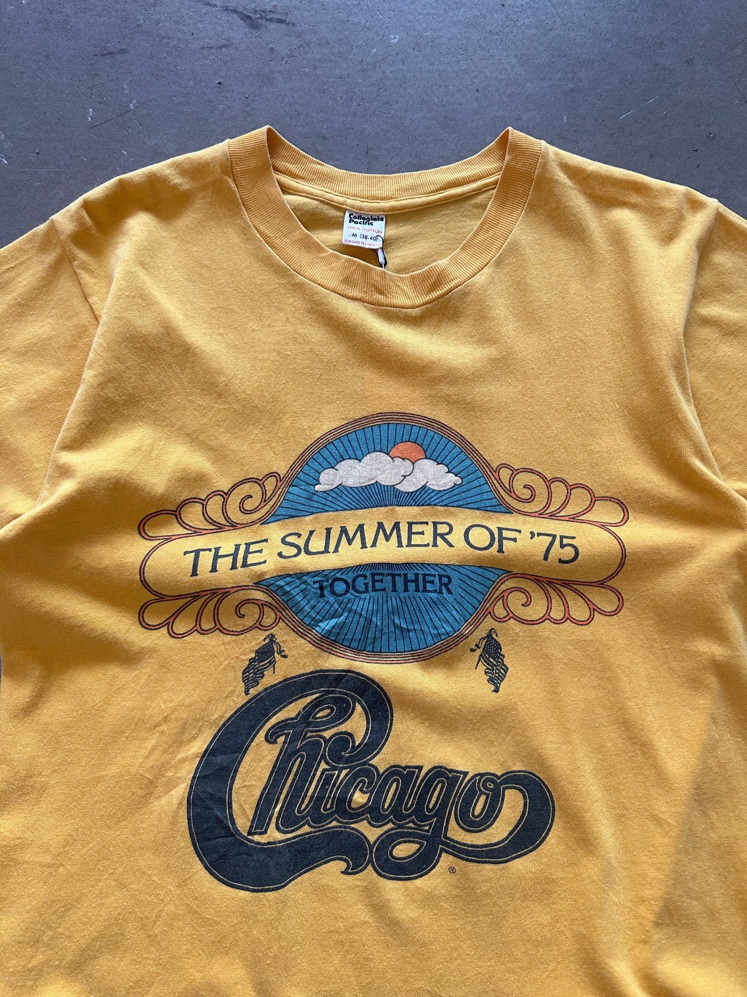 The Beach Boys Summer of 1975 Together Chicago T-Shirt - M