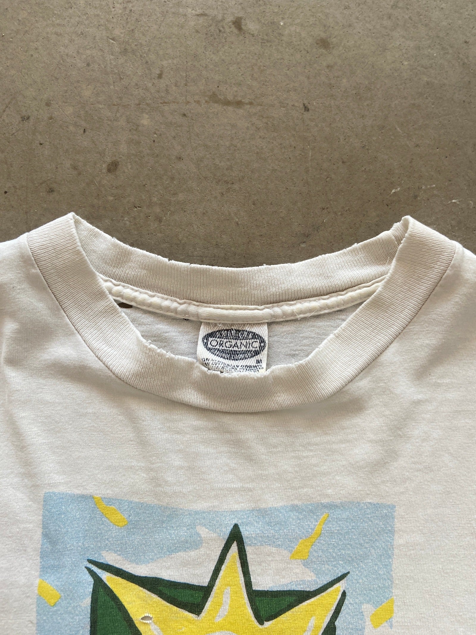 Bonnie Raitt Earth Day Tシャツ 1995 s-l400.jpg