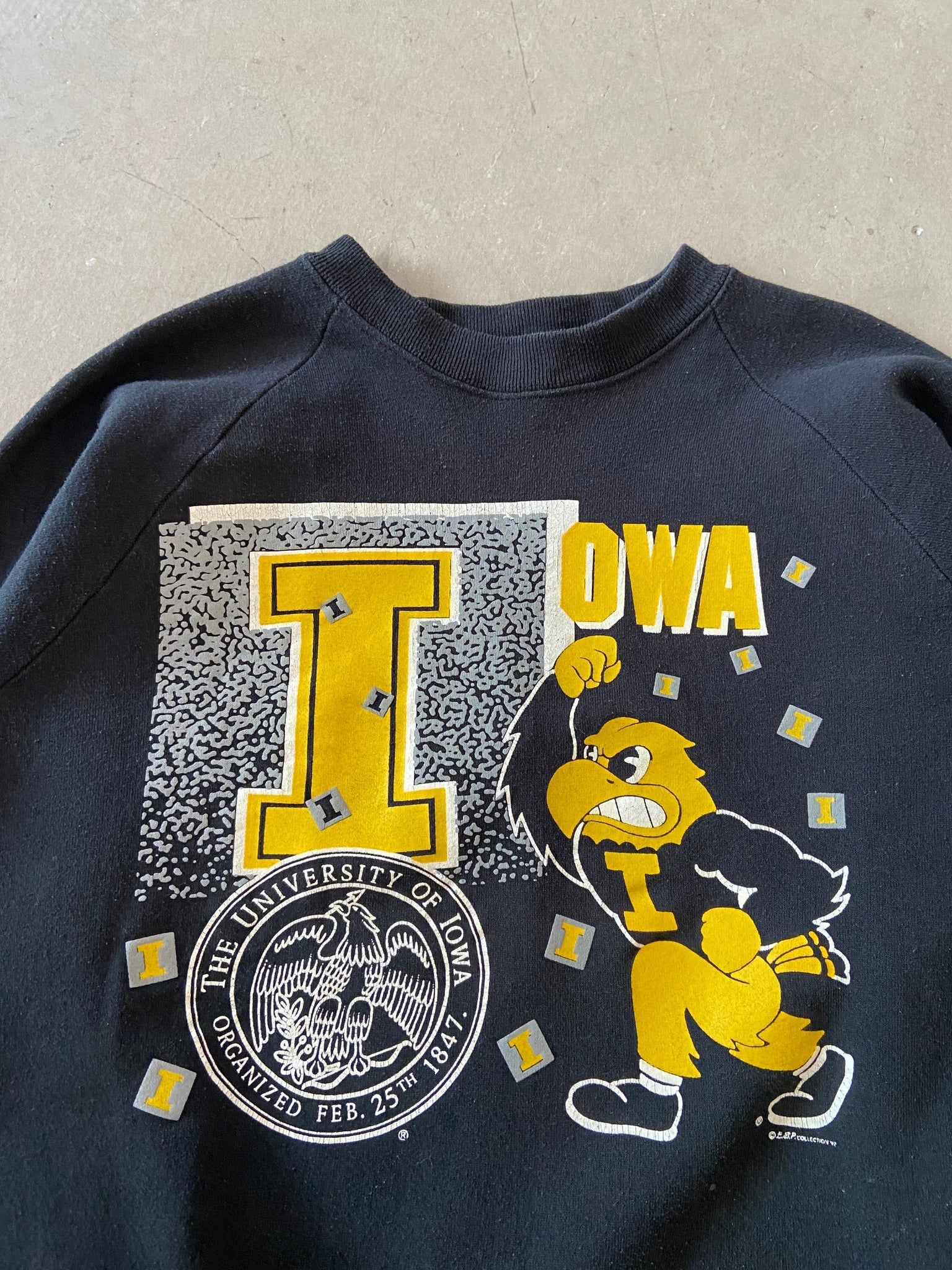 Iowa Fruit of the Loom Sweat - L